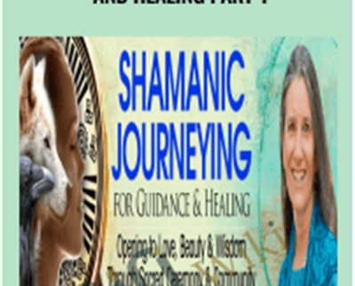 Shamanic Journeying for Guidance and Healing part 1 - Sandra Ingerman