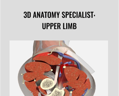 3D Anatomy Specialist-Upper Limb - Primal Pictures