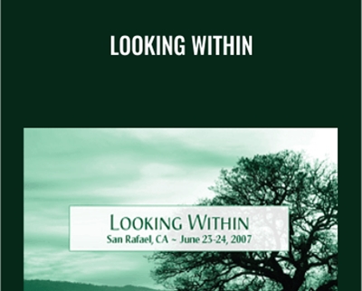 Looking Within - Adyashanti