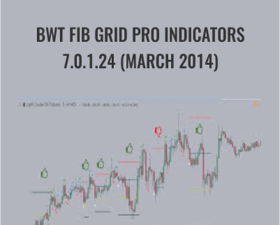 BWT Fib Grid Pro Indicators 7.0.1.24 (March 2014) - BWT