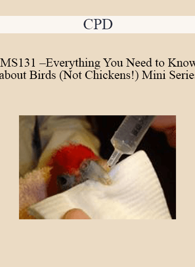 CPD - MS131 – Everything You Need to Know about Birds (Not Chickens!) Mini Series