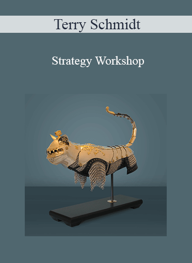 Terry Schmidt - Strategy Workshop