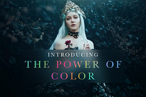 Bella Kotak - The Power of Color to Transform Your Images