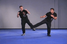 Ron Balkki – Jun Fan Jeet Kune Do Instructor Series 1-8