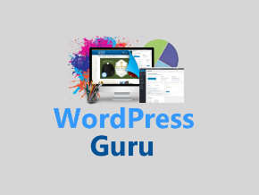 Wordpress Guru - How to Make a WordPress Website Quickly