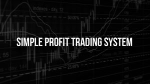 Simple Profit Trading System