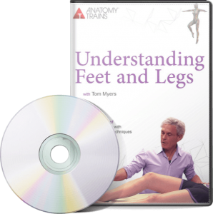 Tom Myers - Understanding Feet and Legs