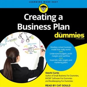 Veechi Curtis - Creating a Business Plan for Dummies