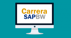 Jose Aldemar Cortes - Carrera SAP BW