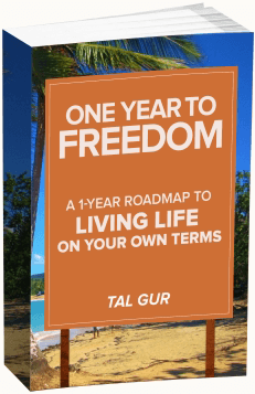 Tal Gur - one year to freedom