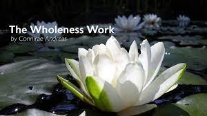 Connirae Andreas - Wholeness Work - January 2022 - Advanced Training - Level II