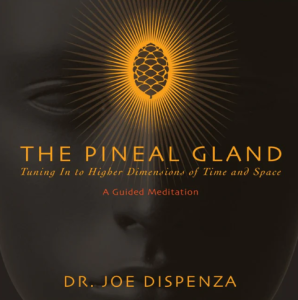 Dr. Joe Dispenza - The Pineal Gland - Tuning In To Higher Dimensions of Time and Space