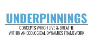 Emergence - UNDERPINNINGS CONCEPTS WHICH LIVE & BREATHE WITHIN AN ECOLOGICAL DYNAMICS FRAMEWORK