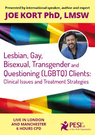 Joe Kort - Lesbian, Gay, Bisexual, Transgender and Questioning (LGBTQ) Clients