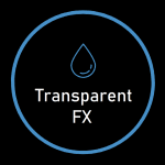 Niccolo Testa (TransparentFX) - Mentorship Programme