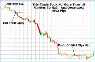 The Forex Legacy - Dan Miller