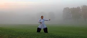 Robert Peng - Guardian Qigong