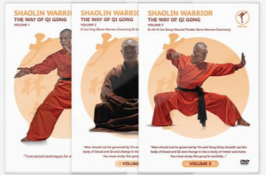 Shaolin Warrior - The Way of Qi Gong