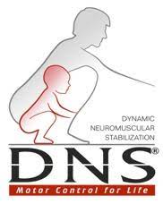 The Prague School and Dynamic Neuromuscular Stabilization - DNS - Video Library