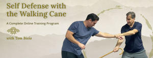 Tom Bisio - Self-Defense with the Walking Cane