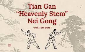 Tom Bisio - Tian Gan Nei Gong Online Learning Program