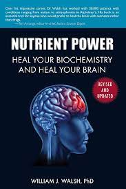 William J. Walsh - Nutrient Power: Heal Your Biochemistry and Heal Your Brain