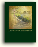 Jacqueline Joy - In Search of Alignment + Workbook - Diamond Energy