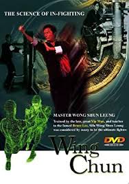 Wong Shun Leung - Wing Chun - The Sdence of In-fighting